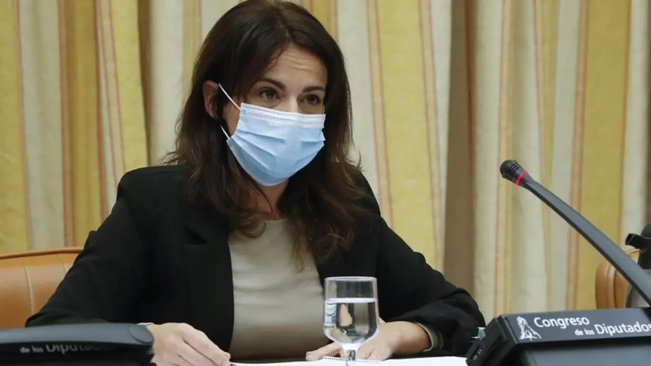 La secretaria de Estado de Sanidad, Silvia Calz&oacute;n, durante su comparecencia en el Congreso para informar de los presupuestos de su departamento . EFE/ JJ Guill&eacute;n POOL