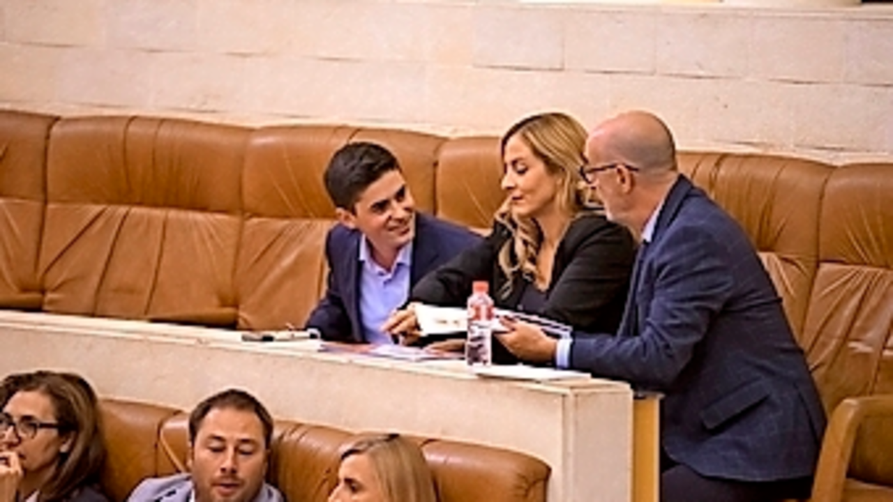 Los tres diputados de Ciudadanos en el Parlamento regional. / ALERTA