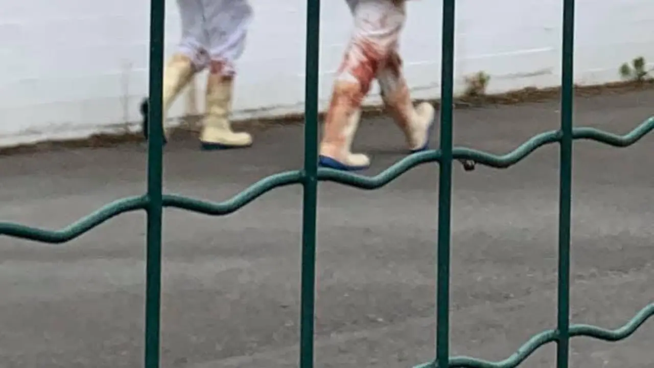 Imagen de dos trabajadores del matadero de Torrelavega. / ALERTA