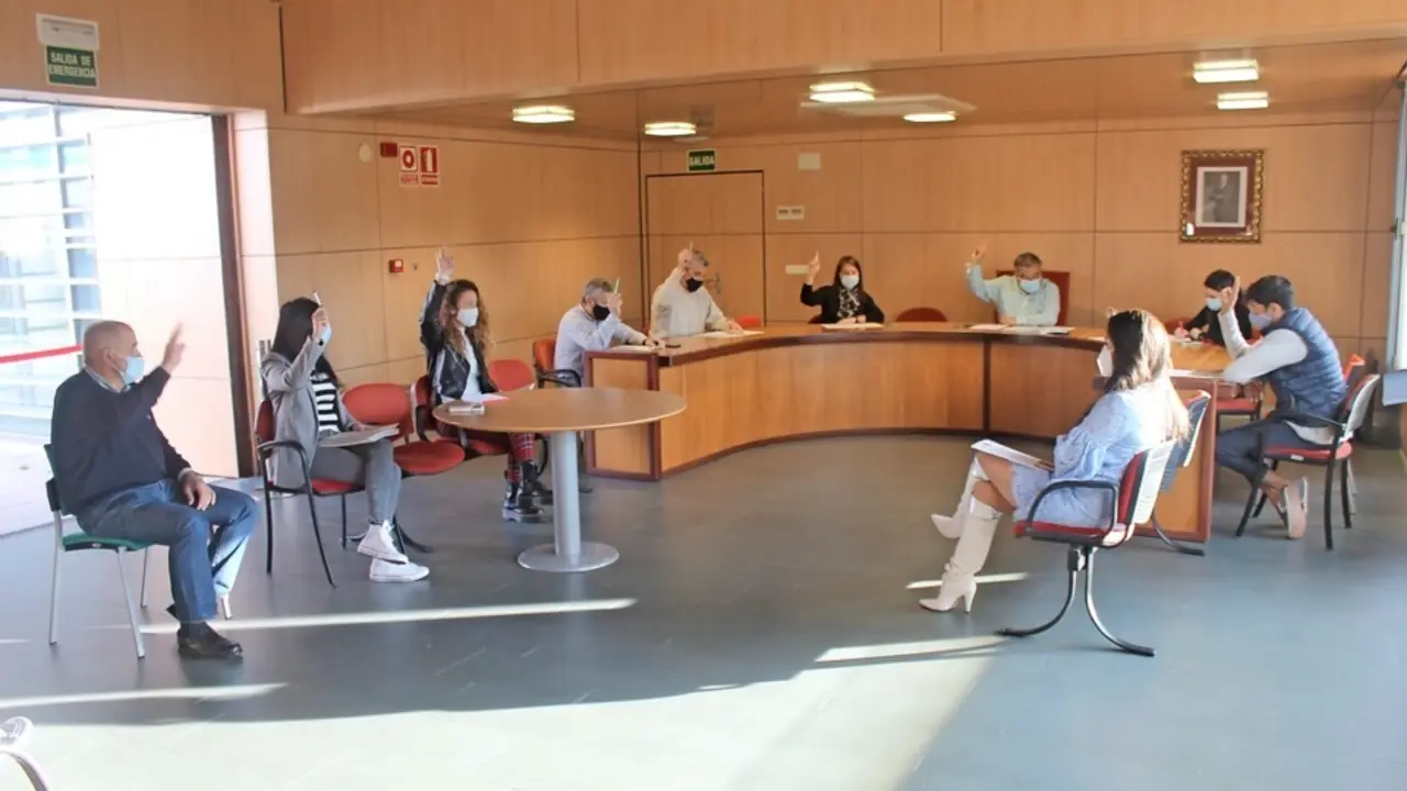 Un instante de la sesi&oacute;n plenaria. / alerta