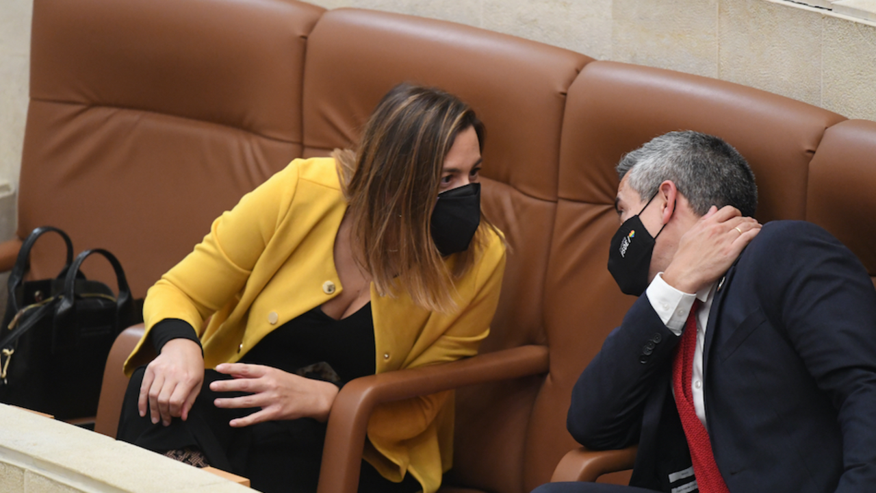 La Consejera de Hacienda, Mar&iacute;a S&aacute;nchez conversa con el vicepresidente del Gobierno, Pablo Zuloaga. / HARDY