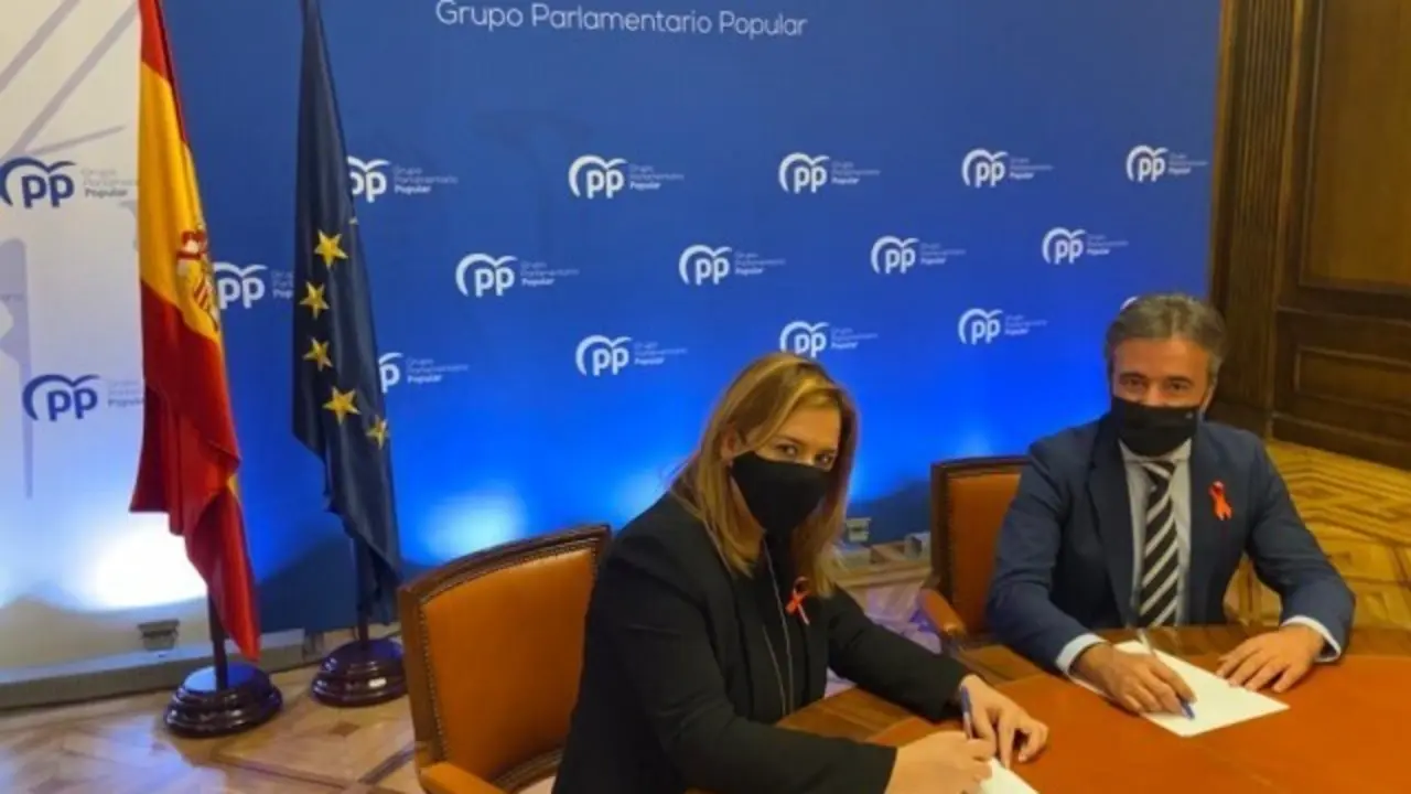 Los diputados por Cantabria del Partido Popular, Elena Castillo y Diego Movell&aacute;n. / ALERTA