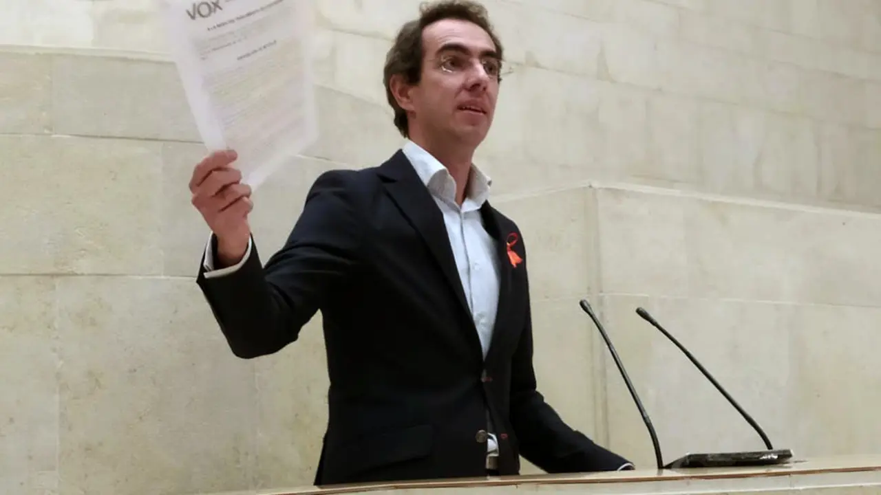 El diputado de Vox Armando Alvarez en la tribuna del Parlamento de Cantabria. / ALERTA
