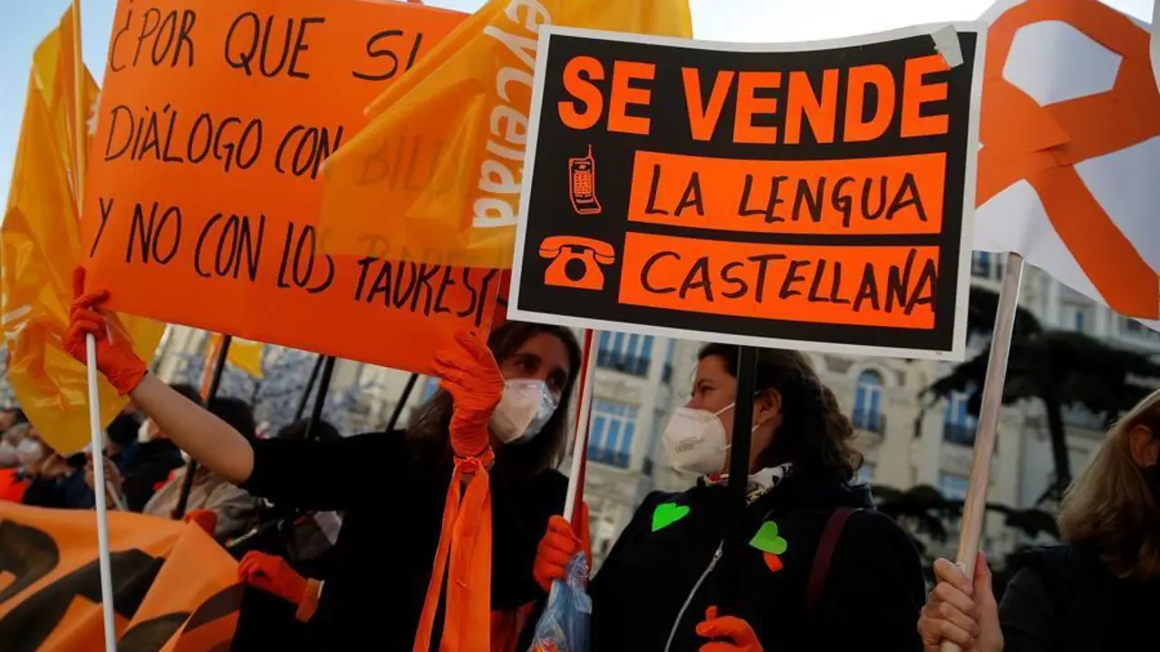 Miembros de la plataforma M&aacute;s plurales se manifiesta este jueves en frente del Congreso de los Diputados en Madrid por la nueva ley de educaci&oacute;n Ley Org&aacute;nica de Modificaci&oacute;n de la LOE (LOMLOE), tambi&eacute;n conocida como ley Cela&aacute;. EFE/Mariscal