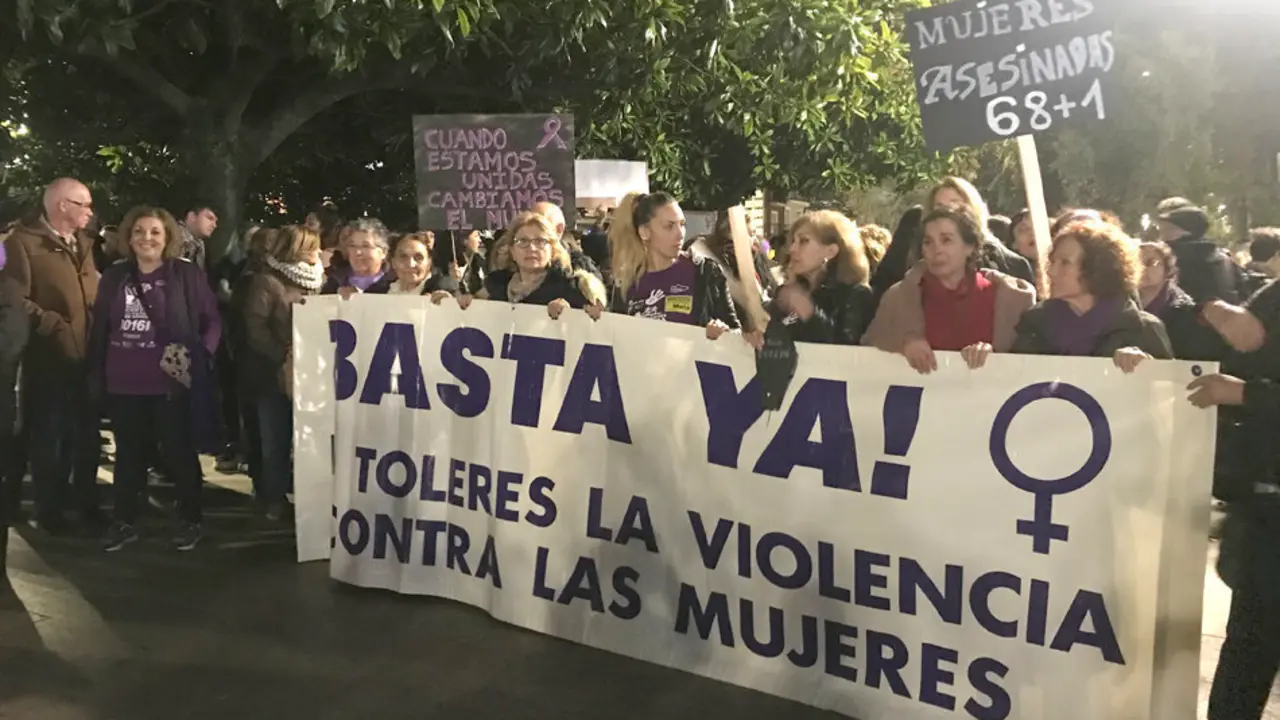 Cientos de personas se manifiestan durante el D&iacute;a Internacional para la Eliminaci&oacute;n de la Violencia de G&eacute;nero. / ARCHIVO - ALERTA