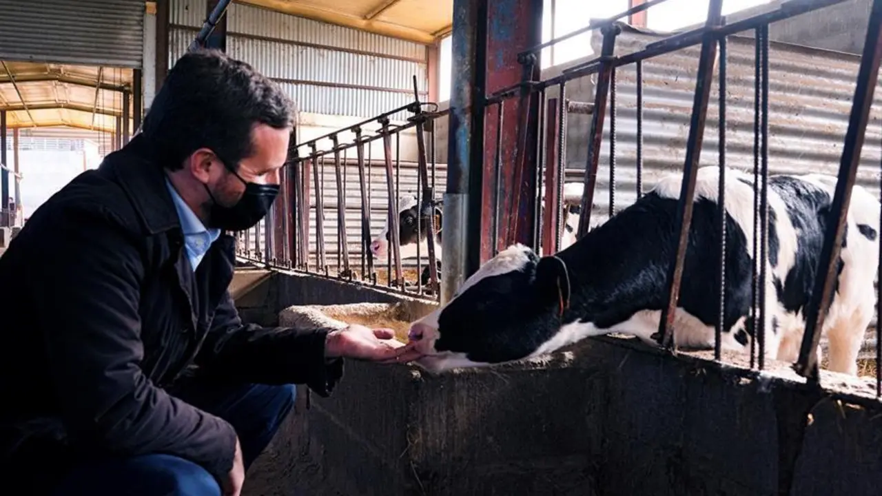 El presidente del PP, Pablo Casado, durante su visita en Alcarr&aacute;s. / EFE