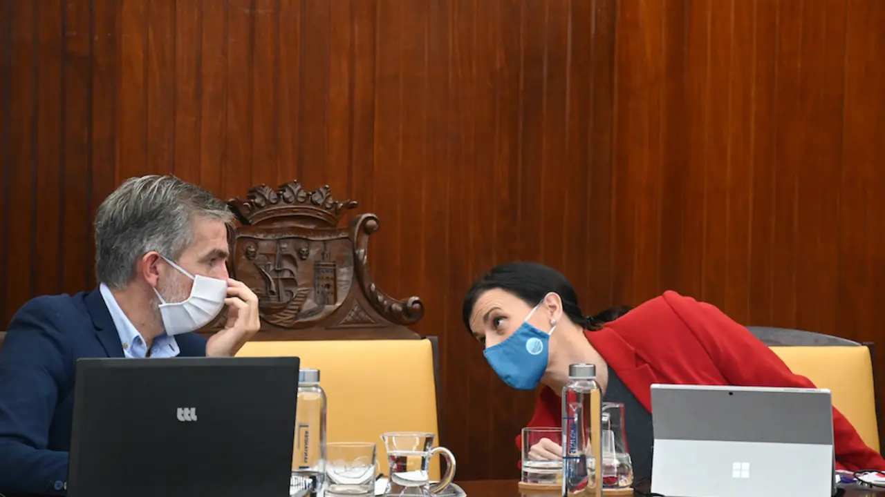 Pleno del Ayuntamiento de Santander. / ALERTA