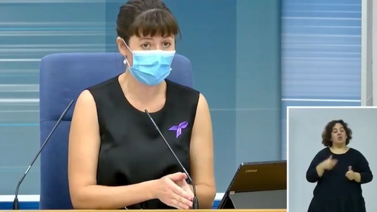 La directora general de Salud P&uacute;blica de Cantabria, Paloma Navas durante la rueda de prensa ofrecida hoy. / ALERTA