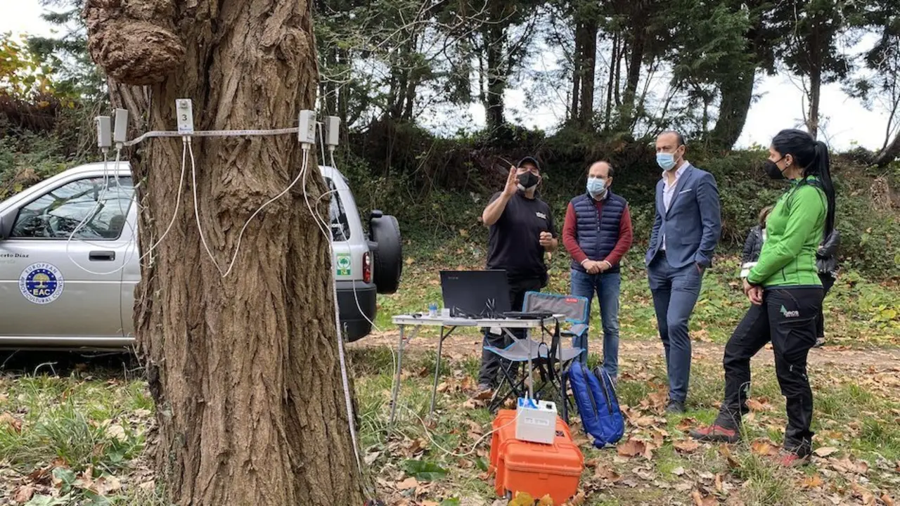 El alcalde y el concejal de Medio Ambiente de Torrelavega comprueban los trabajos en el arbolado de 'El Patatal'.