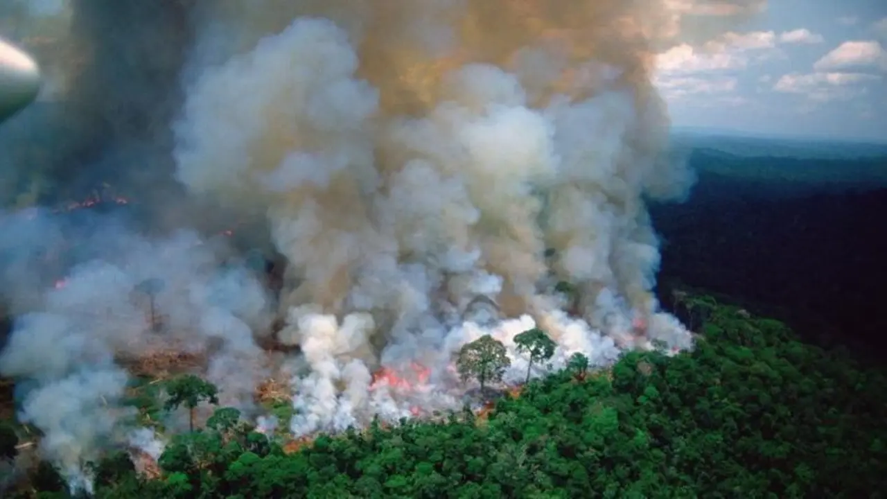 Vista a&eacute;rea de los efectos de un de incendio en la Amazon&iacute;a de Rondonia (Brasil). EFE/Jo&eacute;dson Alves/Archivo
