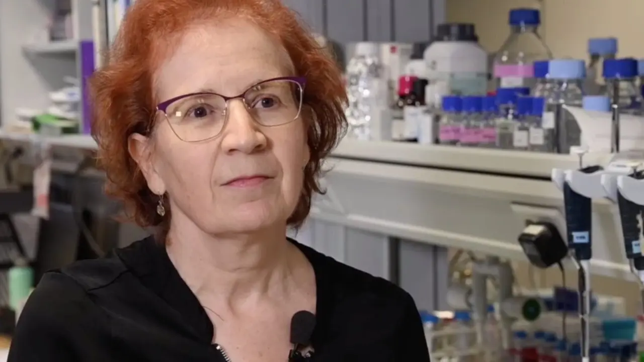 La vir&oacute;loga del Consejo Superior de Investigaciones Cient&iacute;ficas (CSIC) Margarita del Val. / ARCHIVO