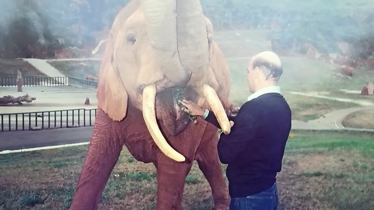 El expresidente regional da de comer a un elefante en Cab&aacute;rceno.
