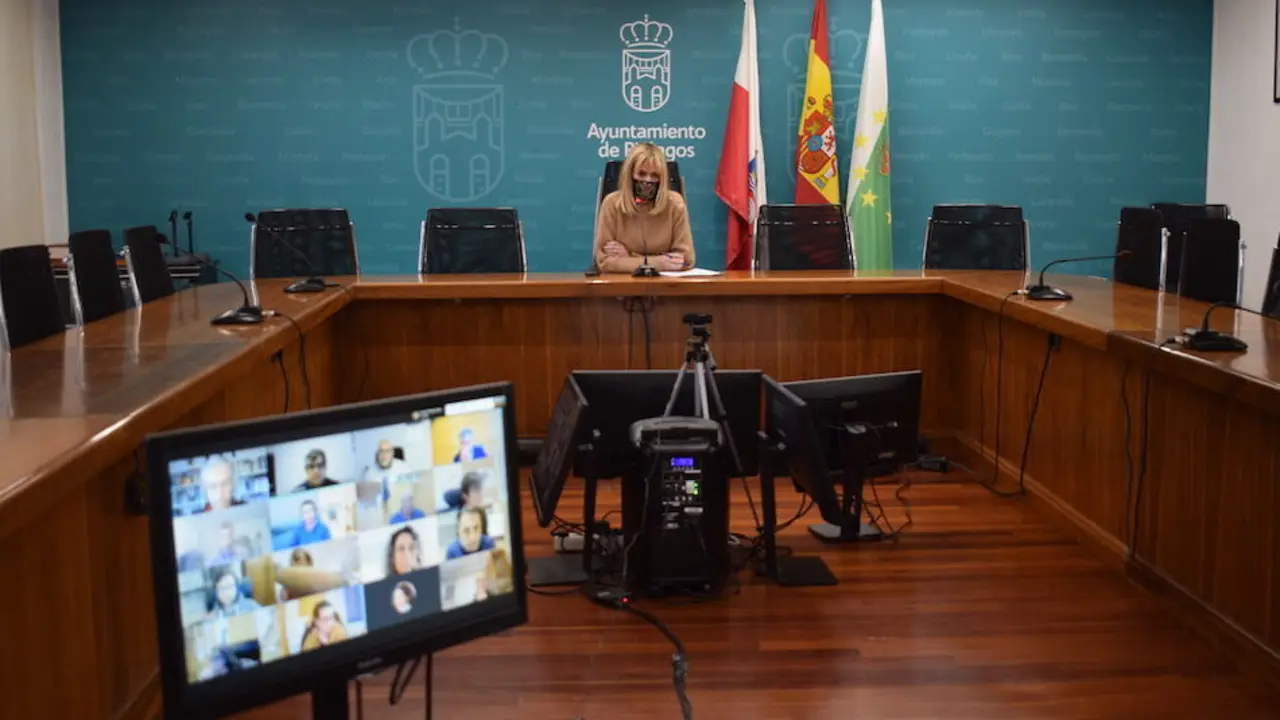 La alcaldesa, Ver&oacute;nica Samperio durante el pleno municipal. / ALERTA