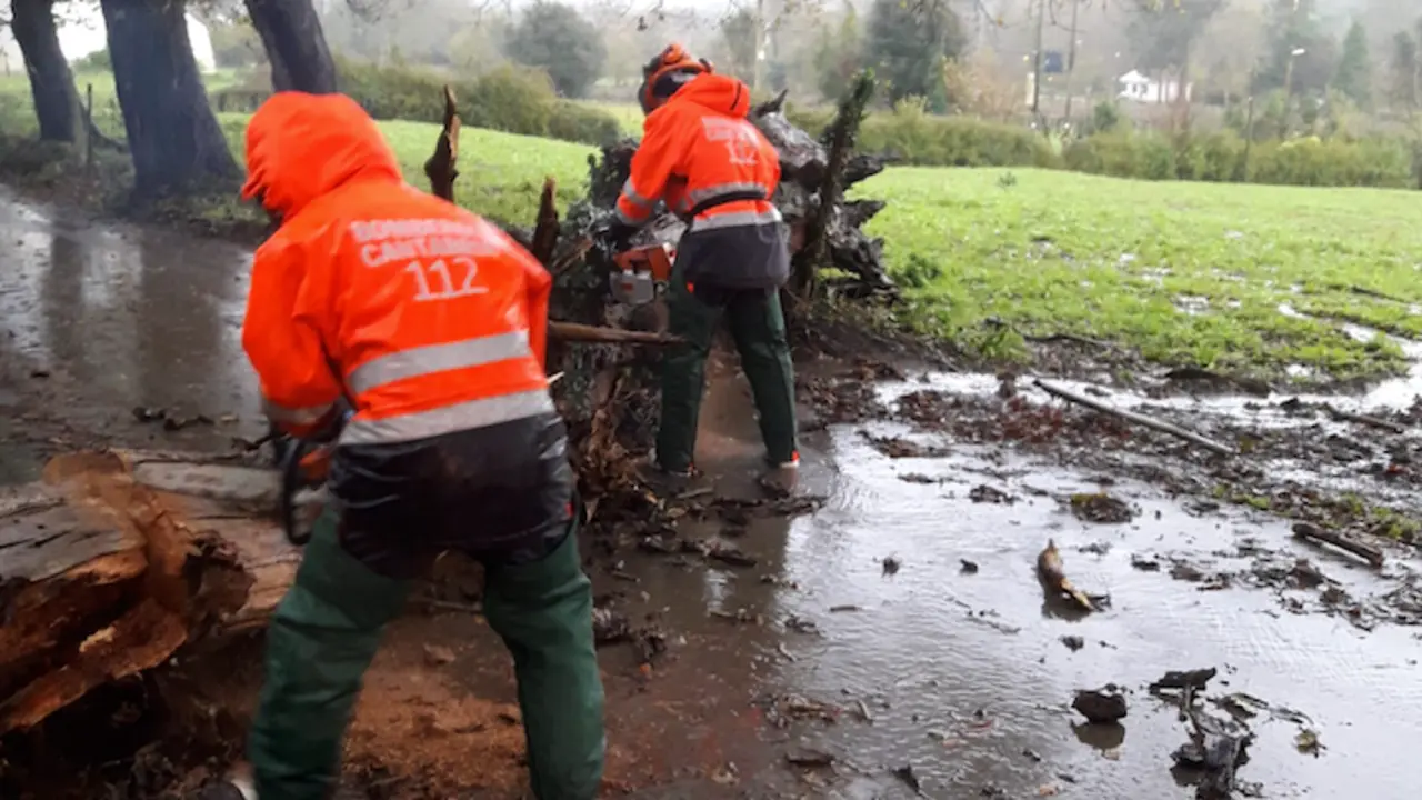 Operarios del 112 quitando un &aacute;rbol ca&iacute;do en una carretera. / 112