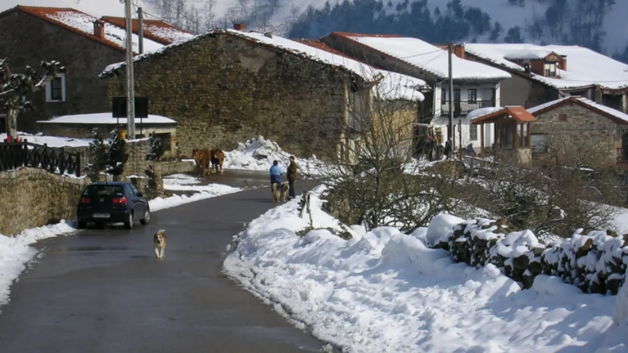 Vista de la poblaci&oacute;n de Los Tojos en Cantabria. / ALERTA