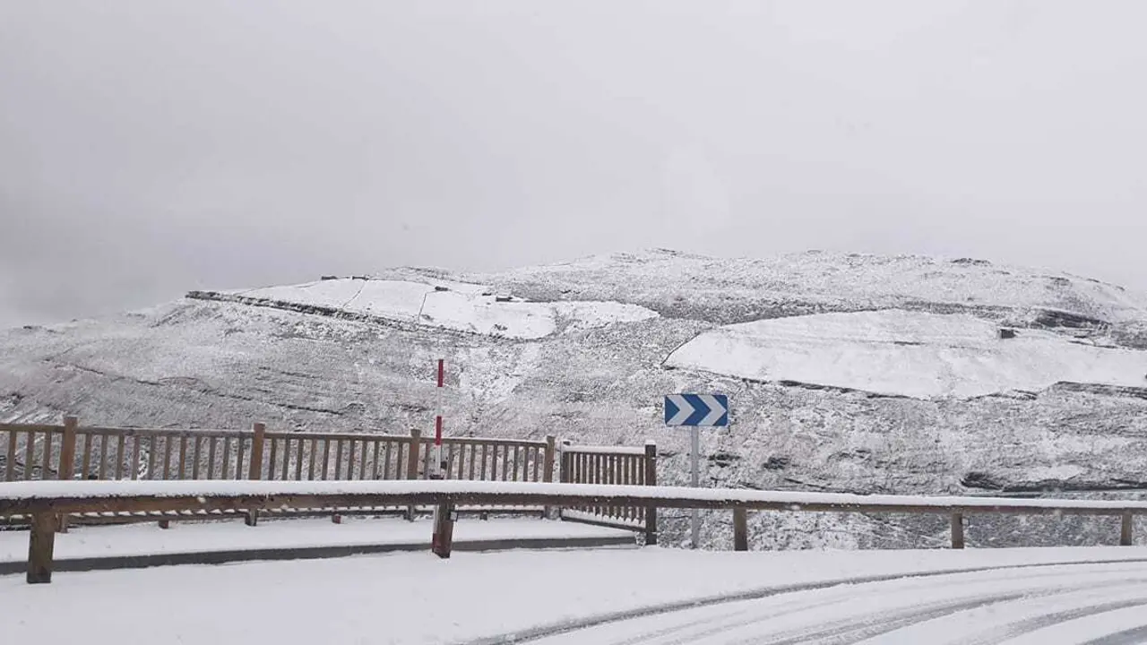 nieve estacas de trueba