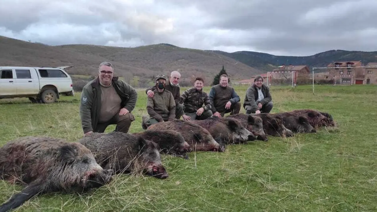 Grupo de cazadores con los jabalies matados en un coto.