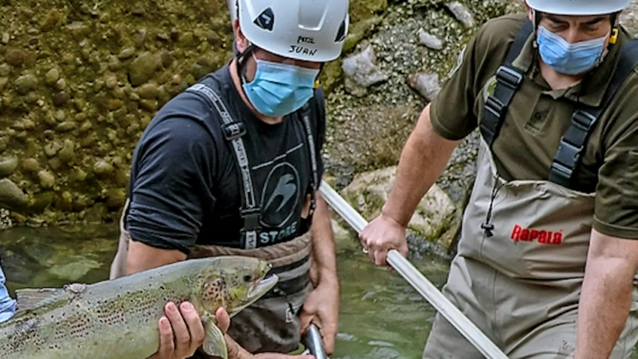 Uno de los salmones capturados junto a los guardas. / Alerta
