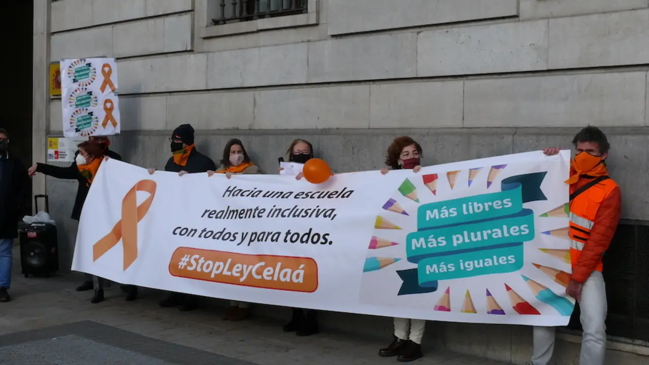 Representantes de los colectivos que conforman la plataforma "Mas Plurales en la manifestaci&oacute;n de ayer. / ALERTA