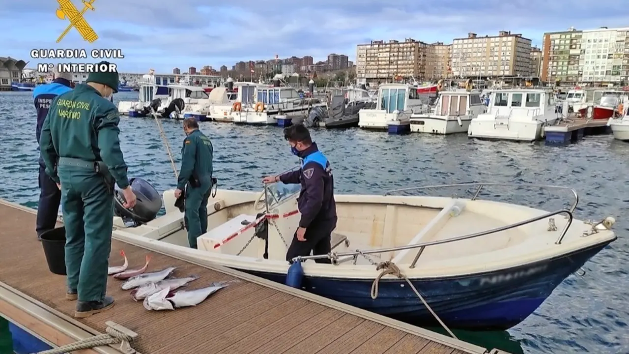 Agentes de la Guardia Civil con el material intervenido. / ALERTA
