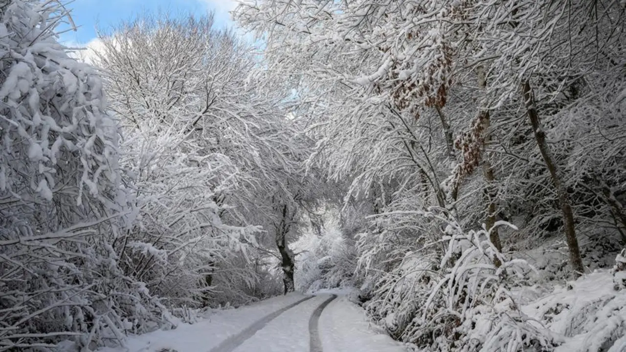 LA LOMBA (CANTABRIA), 29/12/2020.- Nieve acumulada en los &aacute;rboles en la localidad c&aacute;ntabra de La Lomba, este martes. EFE/Pedro Puente Hoyos