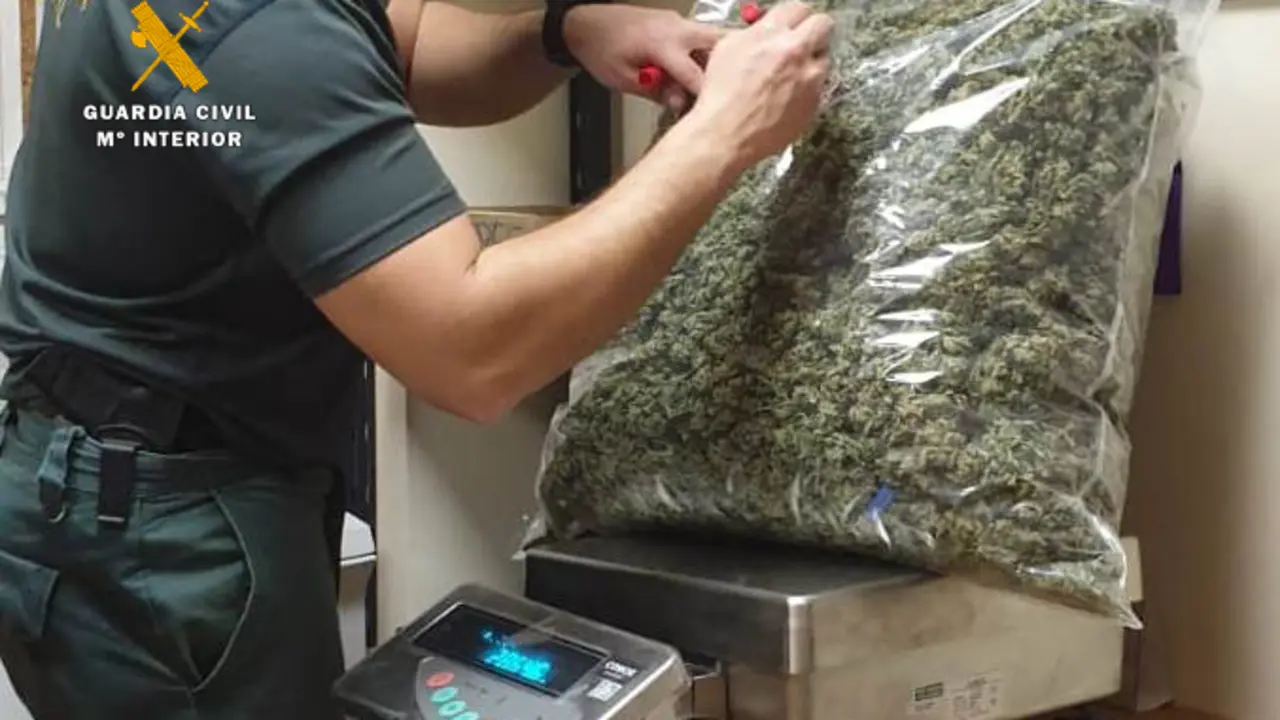 marihuana 2
