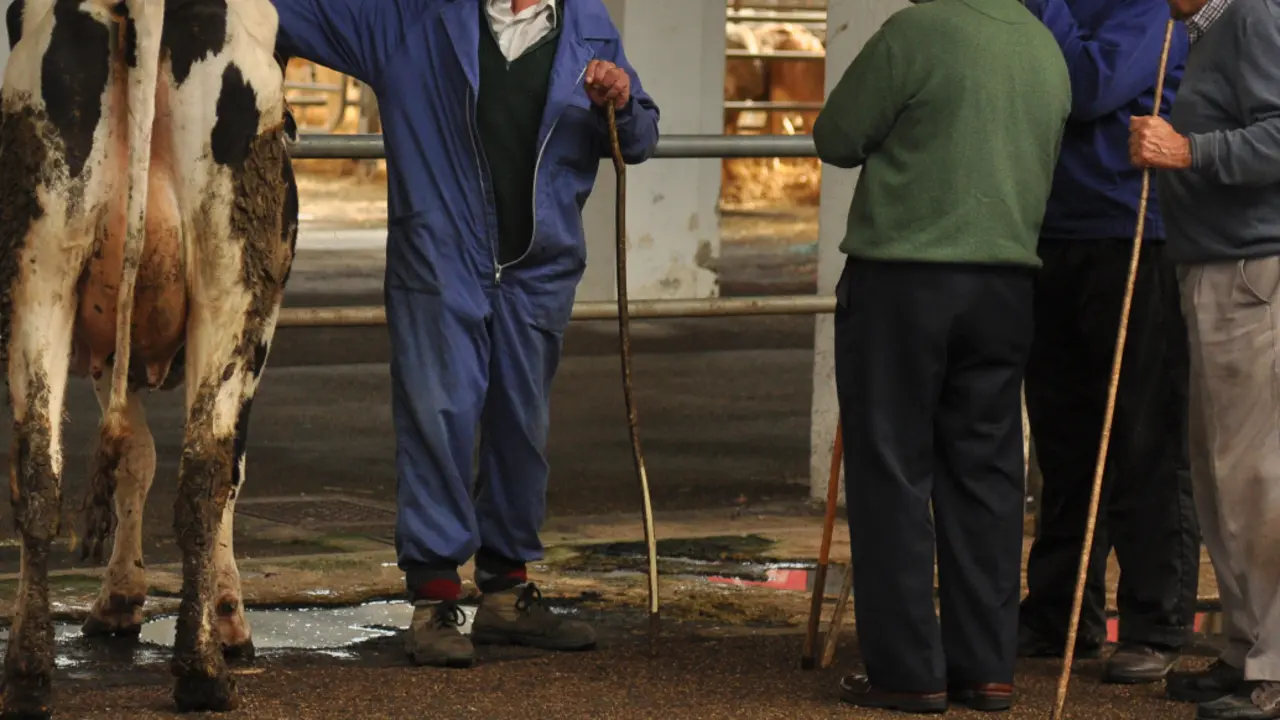 Varias personas en el ferial de ganados de Torrelavega. / ALERTA