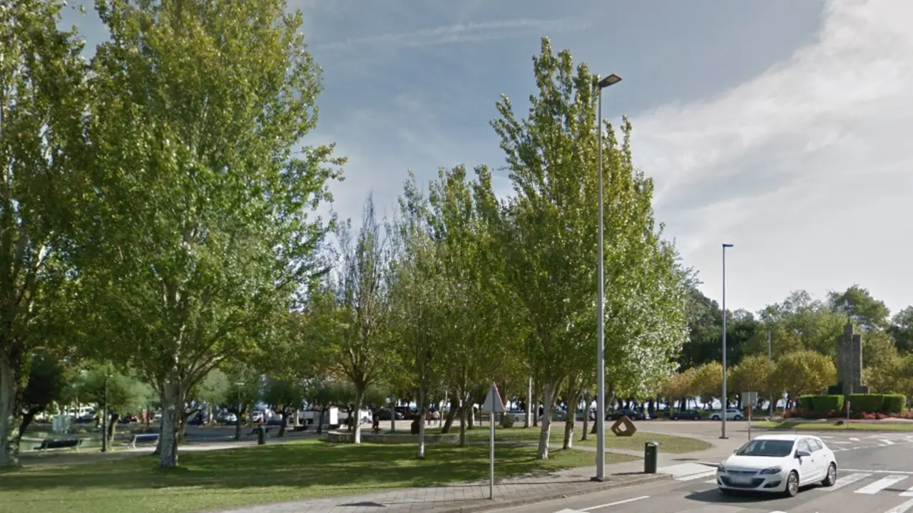 arboles