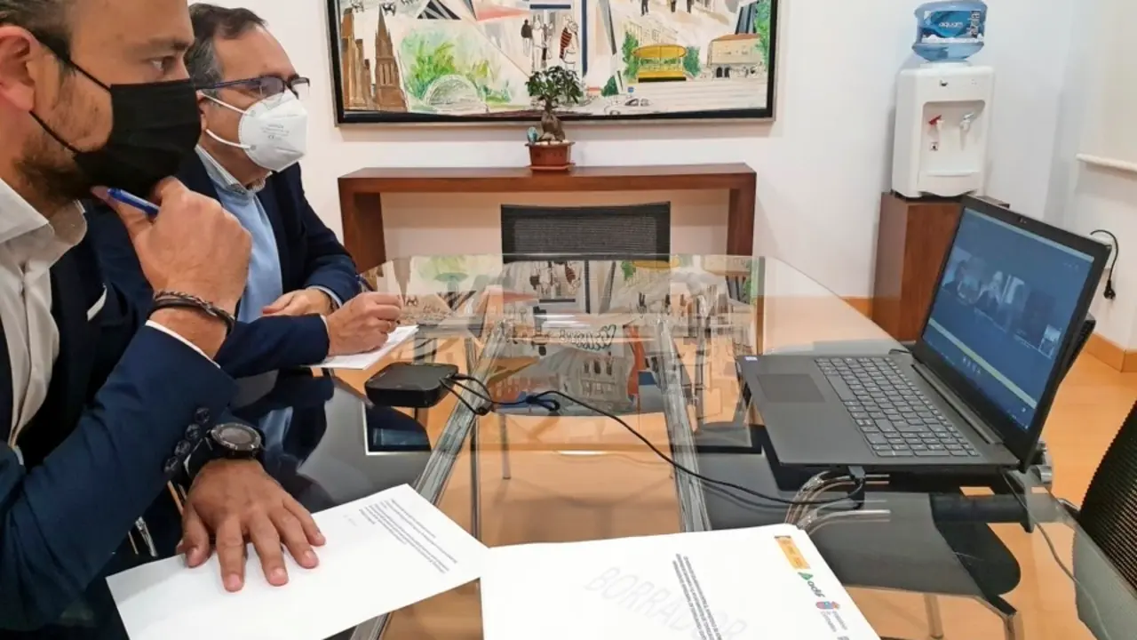 L&oacute;pez Estrada y Cruz Viadero durante la reuni&oacute;n telem&aacute;tica. / ALERTA