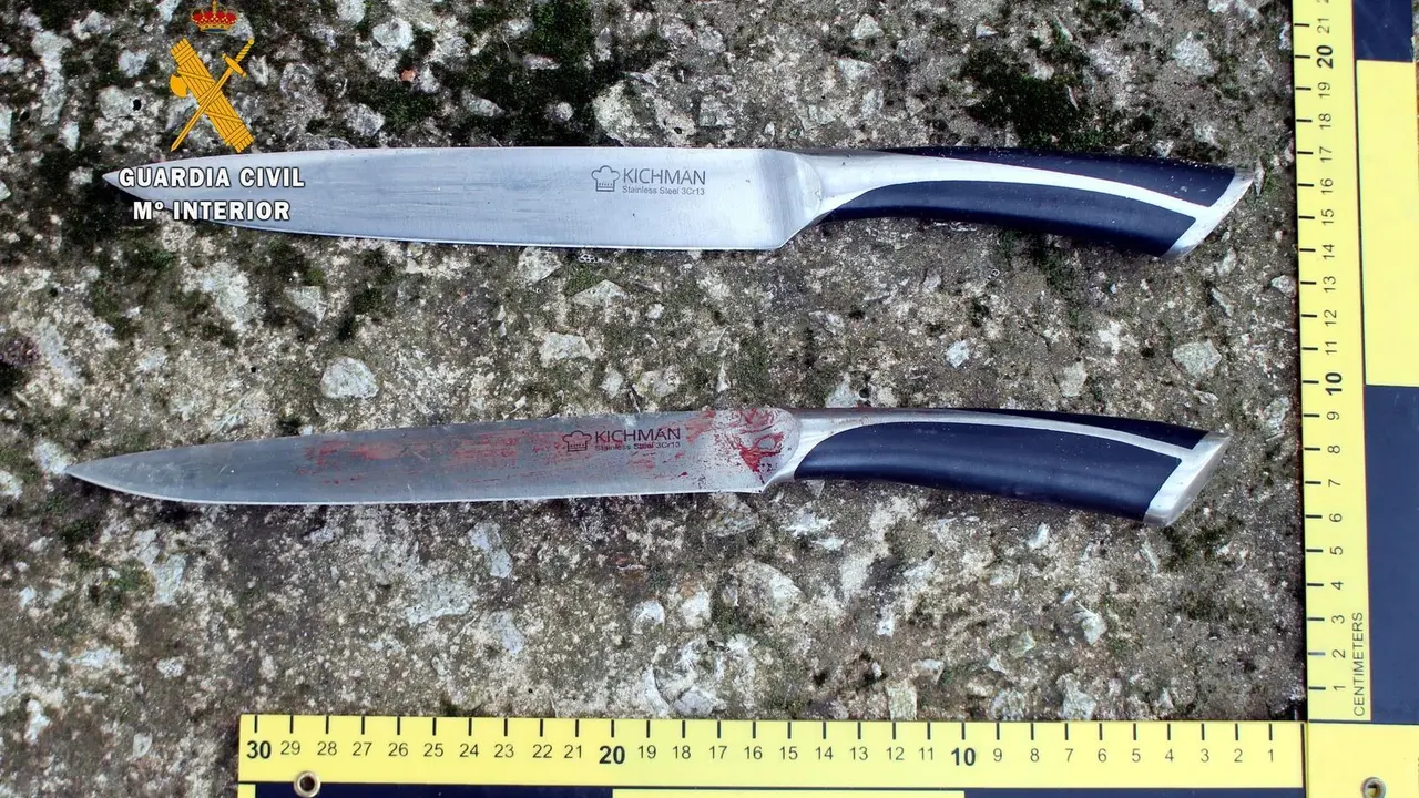 Cuchillos utilizados en el apu&ntilde;alamiento de Hoznayo.