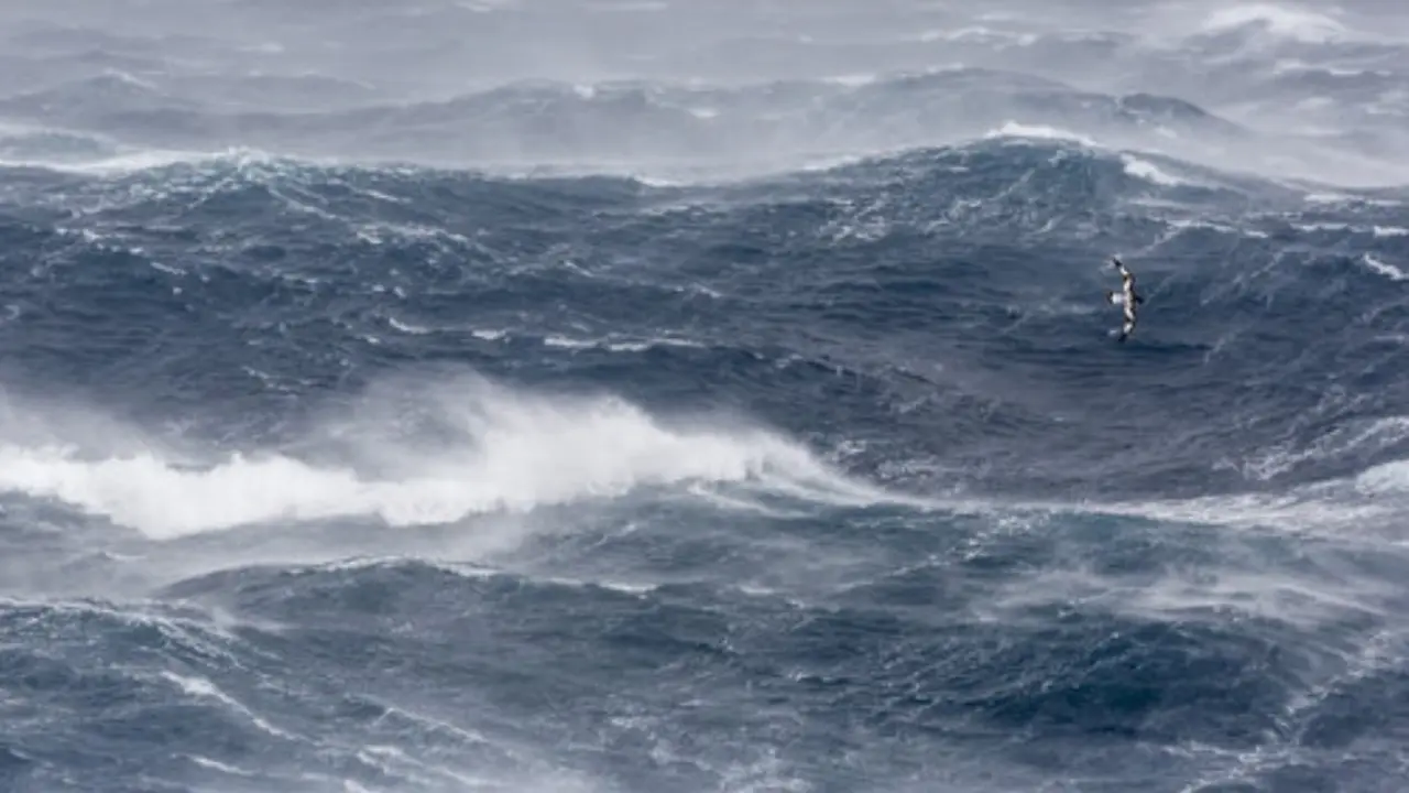 Temporal de olas en la costa c&aacute;ntabra. / ALERTA