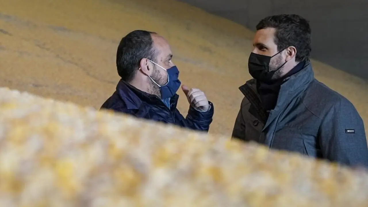 El l&iacute;der del PP. Pablo Casado, en su visita a las instalaciones de Comercial ALECA en Lleida, junto al presidente del PP de Catalu&ntilde;a, Alejandro Fern&aacute;ndez.