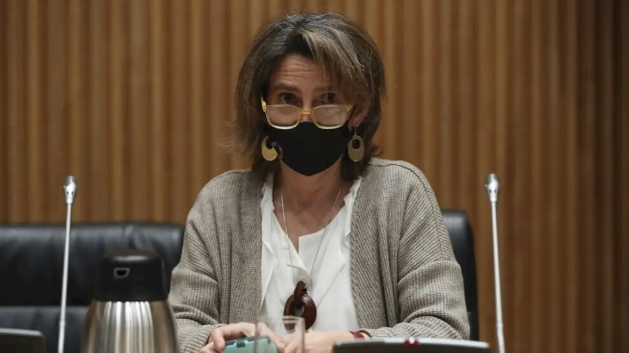 La vicepresidenta cuarta del Gobierno y ministra para la Transici&oacute;n Ecol&oacute;gica, Teresa Ribera, comparece en la Comisi&oacute;n de Transici&oacute;n Ecol&oacute;gica y Reto Demogr&aacute;fico del Congreso de los Diputados. /EFE
