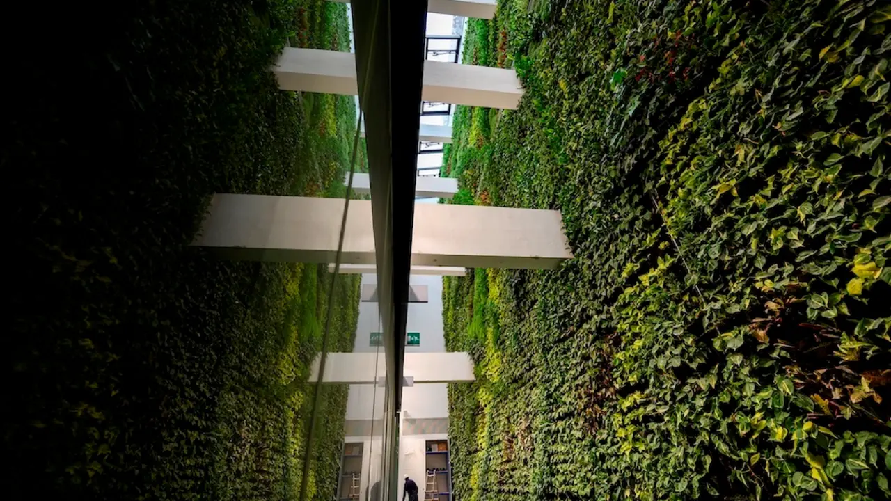 GRAF9835. SANTANDER, 31/01/2021.-  Un futuro centro c&Igrave;vico de Santander esconde un gran jard&Igrave;n vertical interior, que ostenta el r&Egrave;cord de ser el m&middot;s grande de Europa con 32 metros de largo, 17 de alto y 22.300 plantas por toda una pared de un edificio, que fue dep&Ucirc;sito del tabaco que llegaba al puerto de la capital c&middot;ntabra desde otros pa&Igrave;ses. El jard&Igrave;n ha sido dise&Ograve;ado por la "spin-off" de la Universidad de Sevilla, Terapia Urbana, en la que ingenieros agr&Ucirc;nomos y arquitectos apuestan por la naturaci&Ucirc;n urbana como instrumento de la arquitectura sostenible. EFE/ Pedro Puente Hoyos

