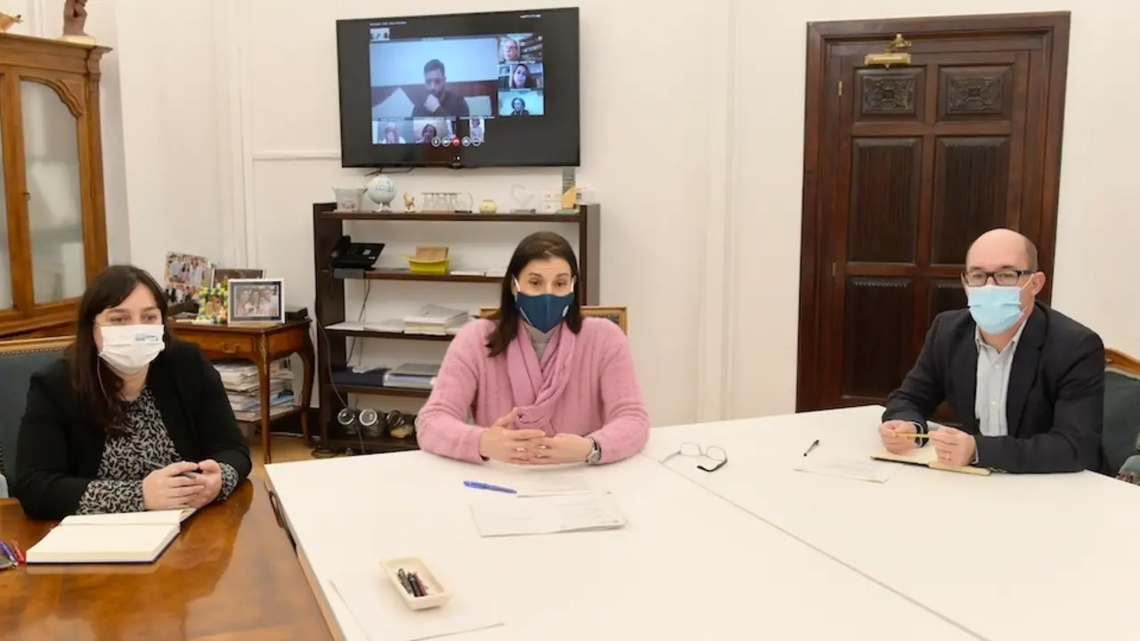 Videoconferencia con los Servicios Sociales y de Salud. / ALERTA