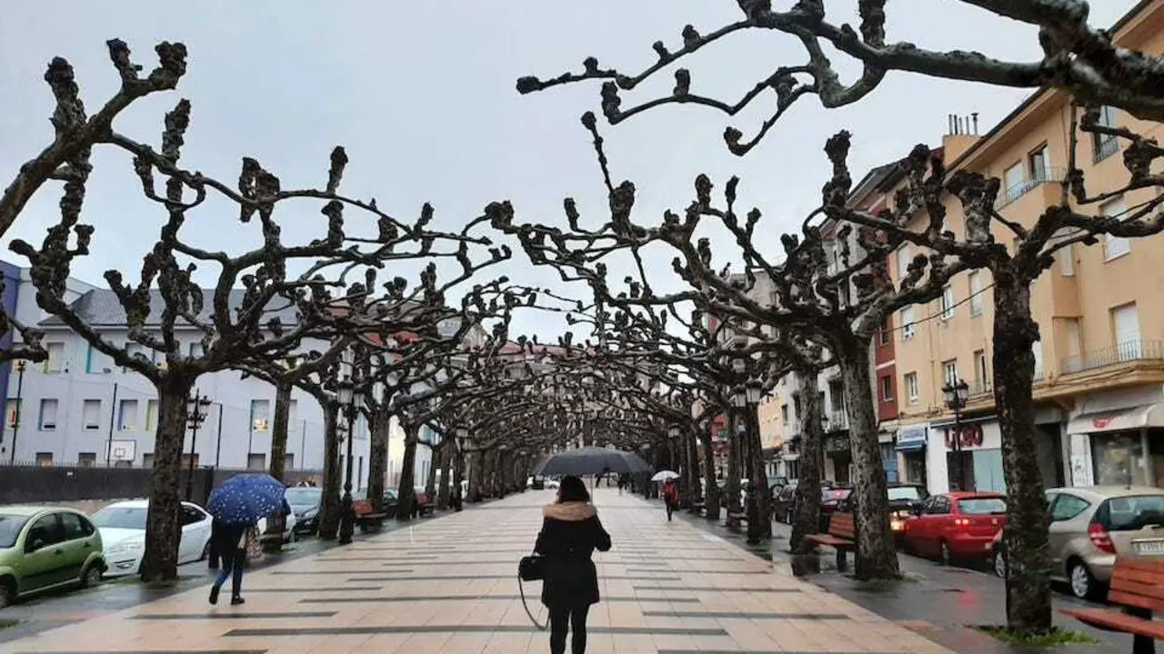 Varias personas caminan bajo la lluvia en la Avenida de Espa&ntilde;a de Torrelavega. / S.D.