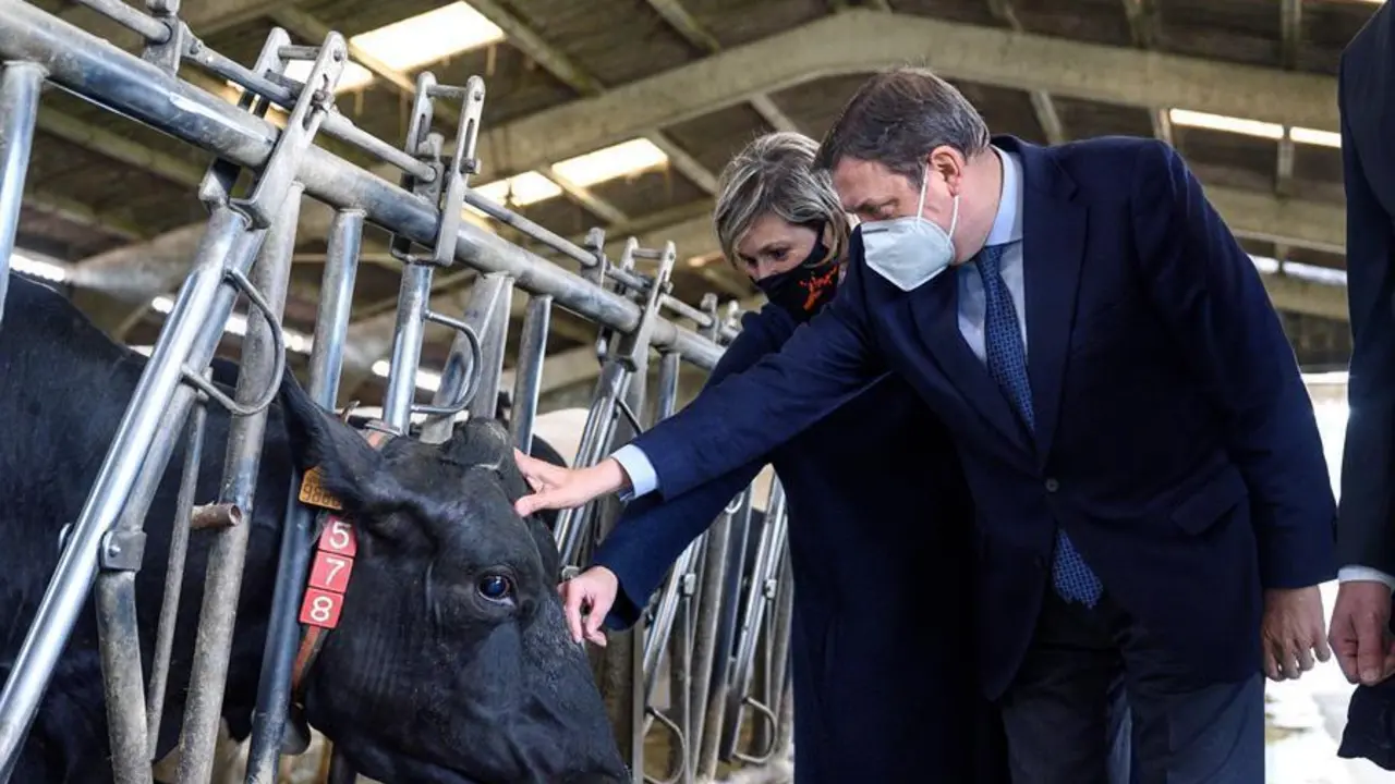 El ministro de Agricultura, Pesca y Alimentaci&oacute;n, Luis Planas (d), junto a la alcaldesa de Escobedo de Camargo, Esther Bolado (d), durante la visita de este jueves a las instalaciones de la primera vaquer&iacute;a espa&ntilde;ola, SAT Arenas, que cuenta con el primer sistema automatizado de alimentaci&oacute;n, as&iacute; como dos robots de orde&ntilde;o. EFE/ Pedro Puente Hoyos