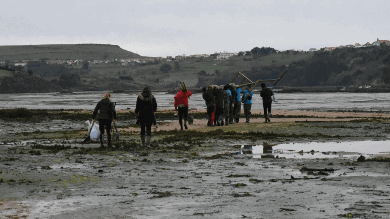 Los voluntarios del Ayuntamiento durante la cologaci&oacute;n del nido para &aacute;guila pescadora.