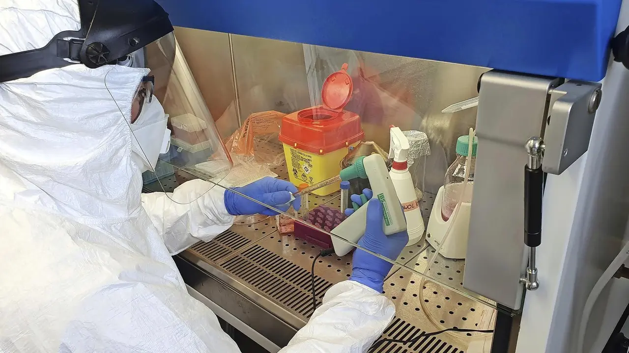 F&eacute;lix J. Sangari trabajando en la cabina de seguridad biol&oacute;gica del laboratorio. / ALERTA
