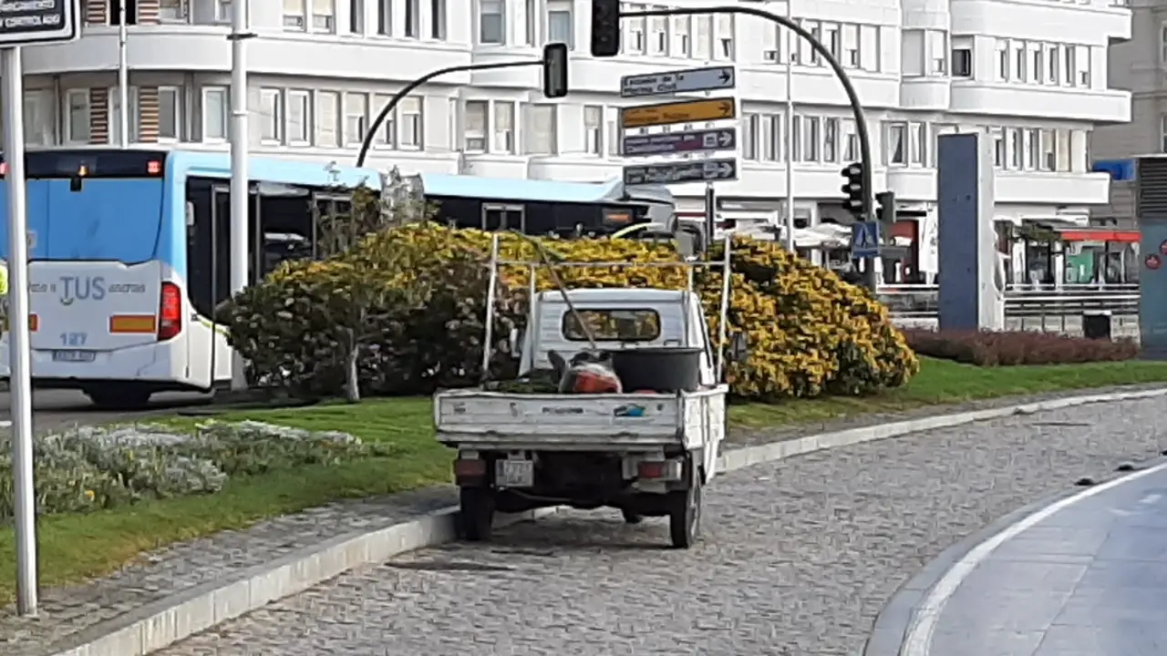 Un operario de Parques y Jardines realiza las labores en las inmediaciones de Puertochico. / S.D.