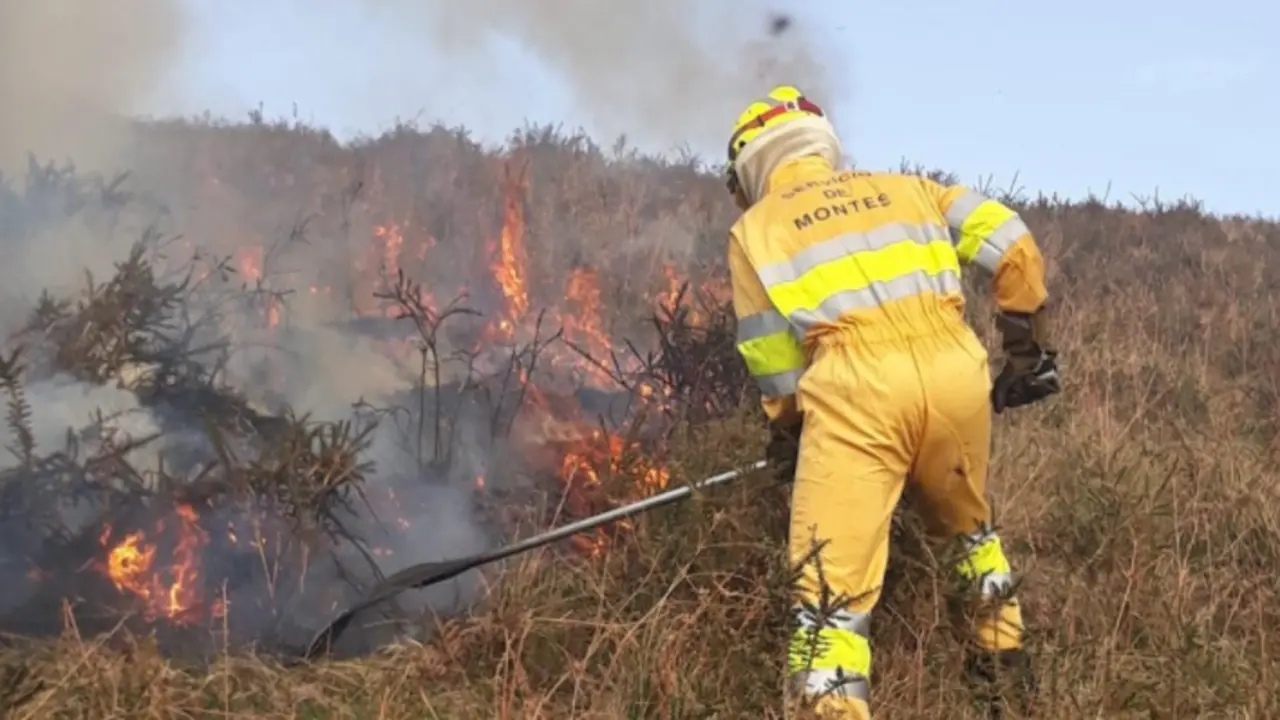 Un operario de Servicios de Montes del Gobierno de Cantabria realiza las labores de sofoco del incendio. / ALERTA