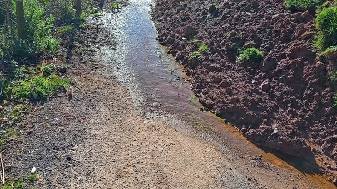 Vista del argayo. / A. del Saja