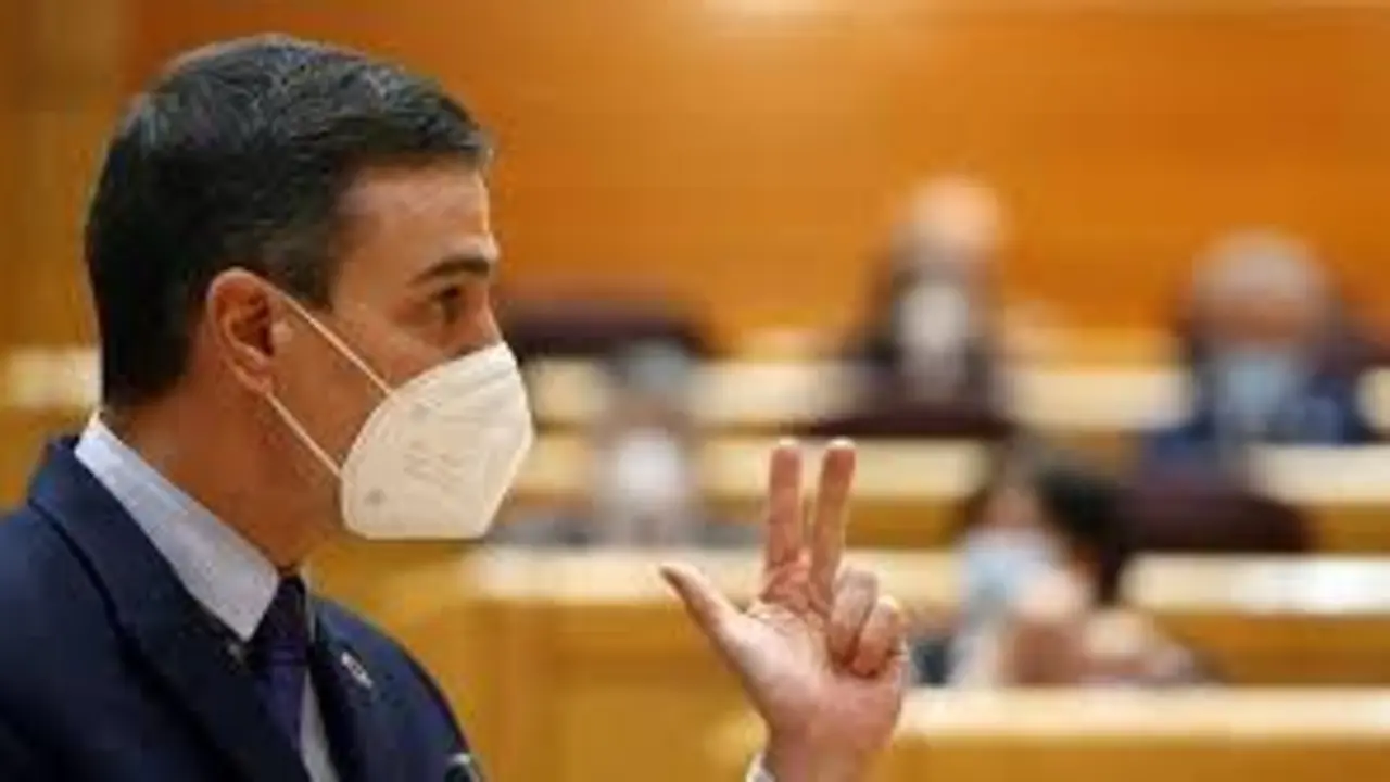 El presidente del Gobierno, Pedro S&aacute;nchez, durante su intervenci&oacute;n en la sesi&oacute;n de control al Gobierno en el Senado.EFE