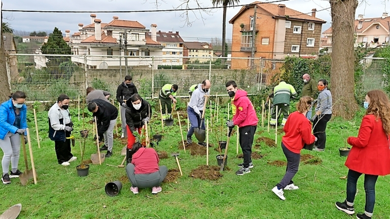Los vecinos durante la plantaci&oacute;n de los arboles para recuperar el espacio verde de la ciudad. / ALERTA