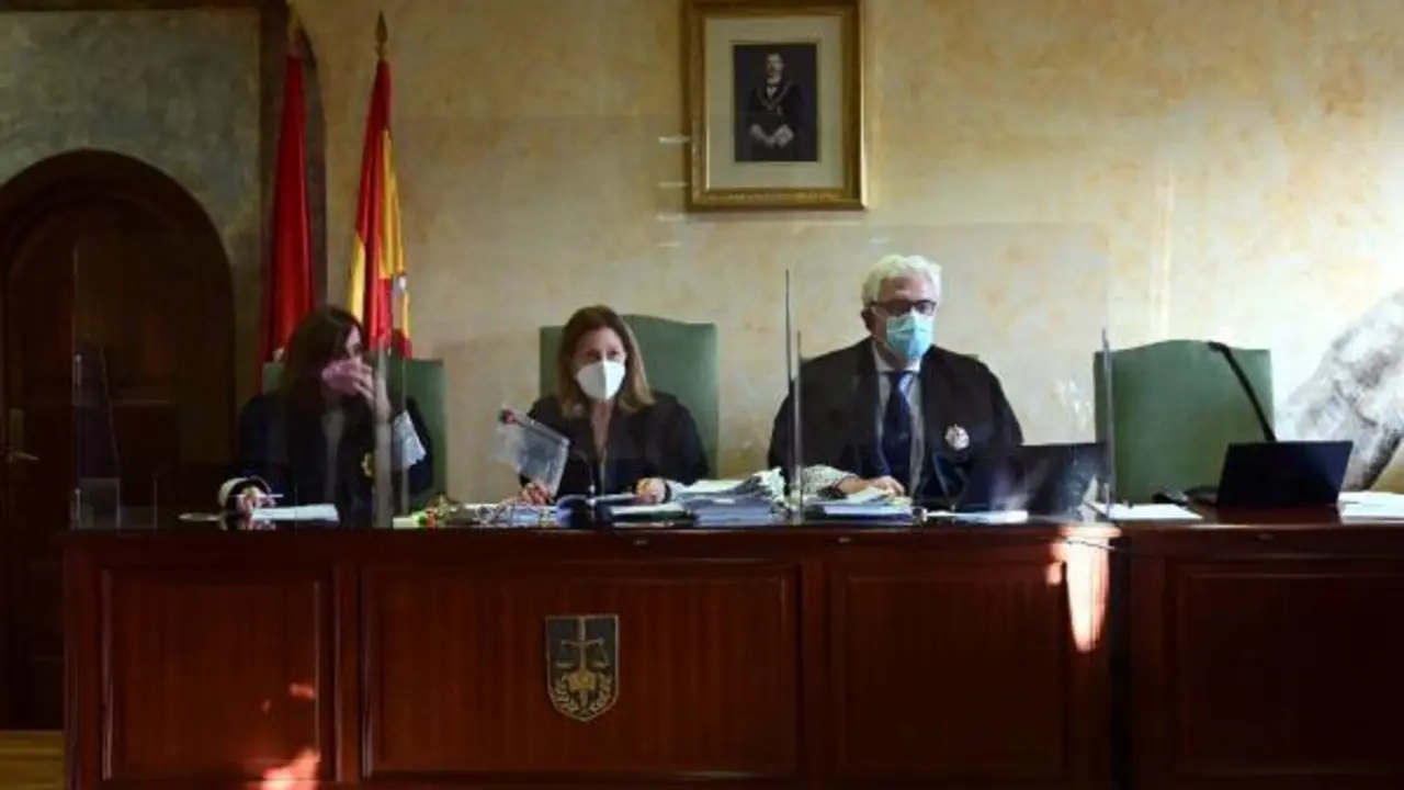l Tribunal Superior de Justicia de Madrid (TSJM) ha recibido siete recursos de diferentes colectivos contra la decisi&oacute;n de la Delegaci&oacute;n del Gobierno de prohibir las manifestaciones del 8M, que se prev&eacute; que la sala estudie este s&aacute;bado en tres vistas p&uacute;blicas. EFE/ V&iacute;ctor Lerena
