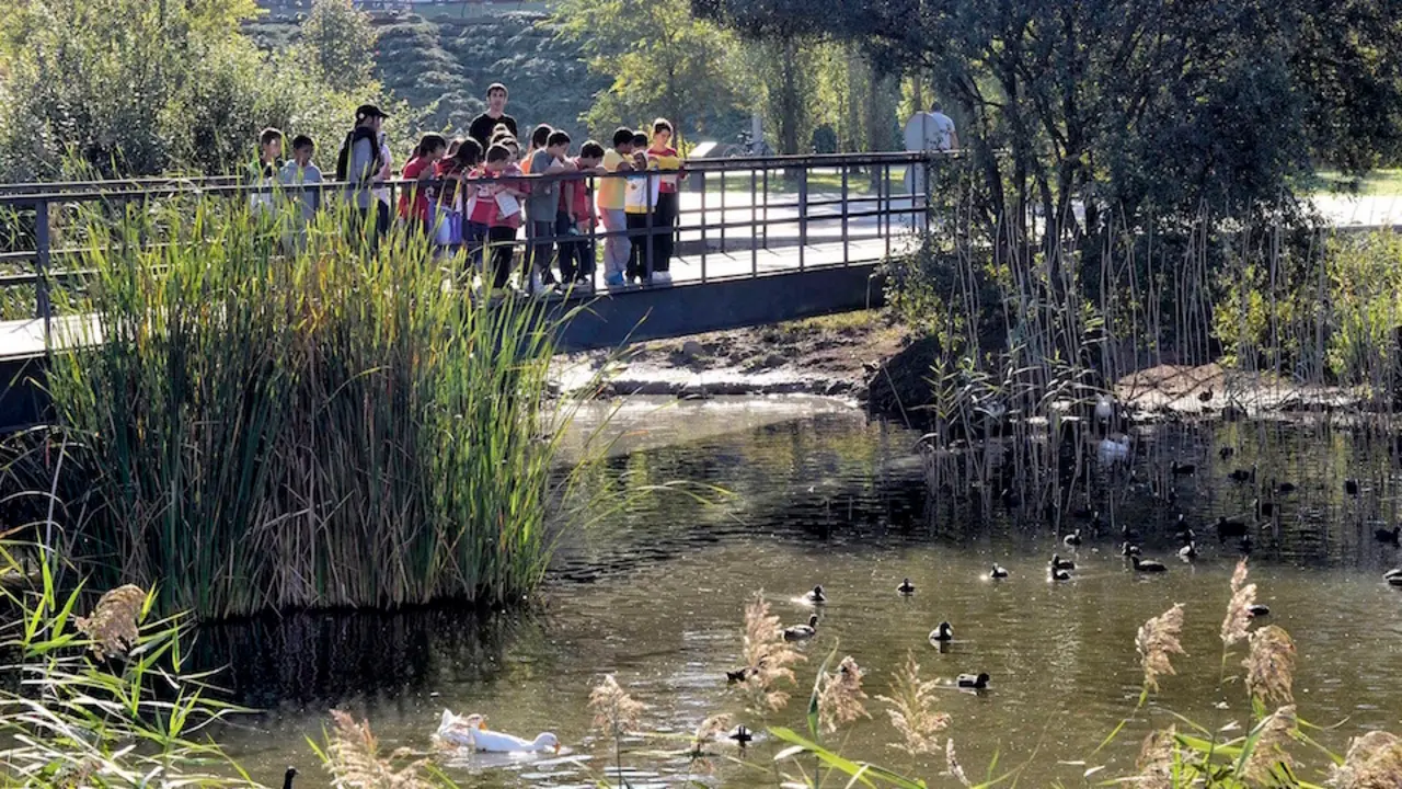 El parque de Las Llamas y sus aves centran los actos del D&iacute;a de los Humedales. / ARCHIVO - E. PRESS