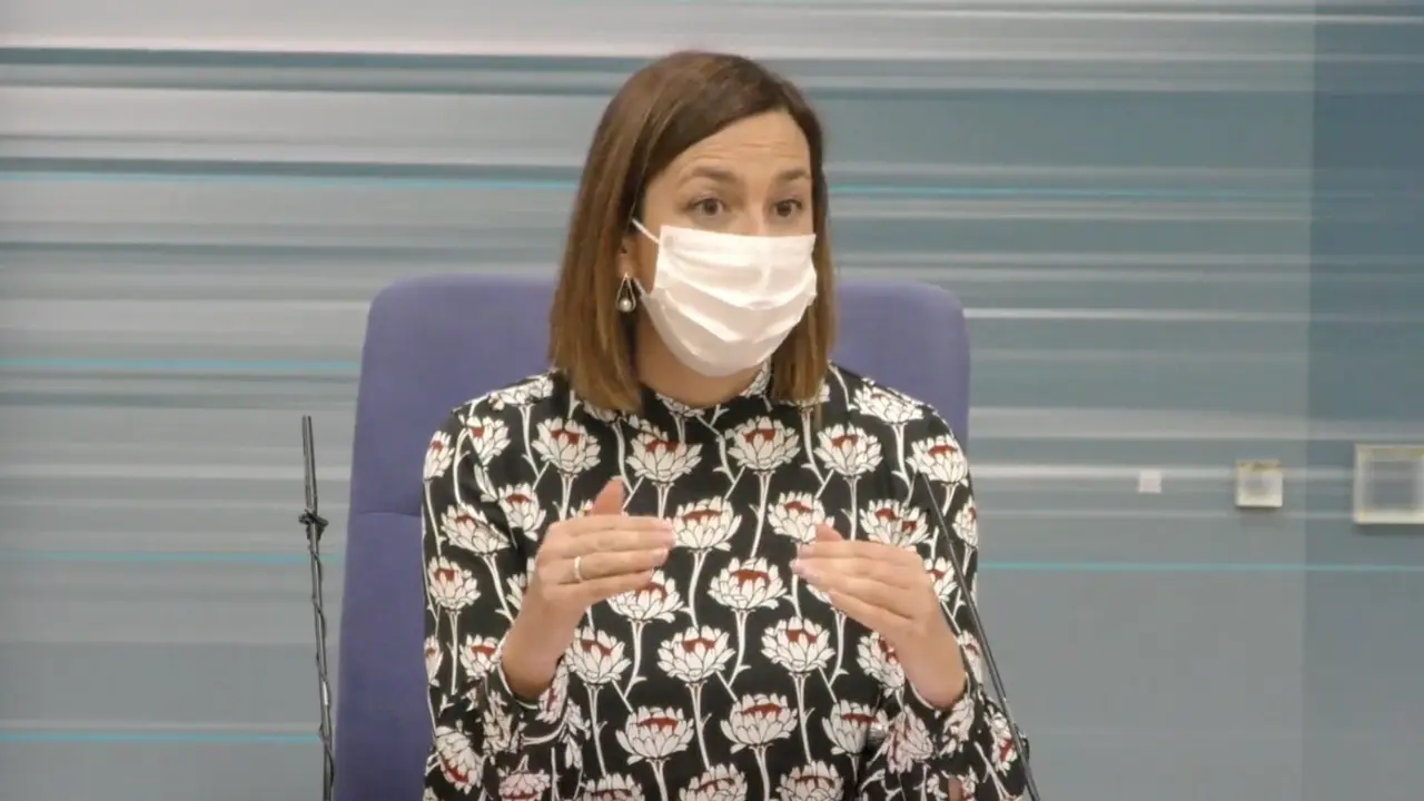 La Consejer&iacute;a de Econom&iacute;a, Mar&iacute;a S&aacute;nchez durante la rueda de prensa. / ALERTA
