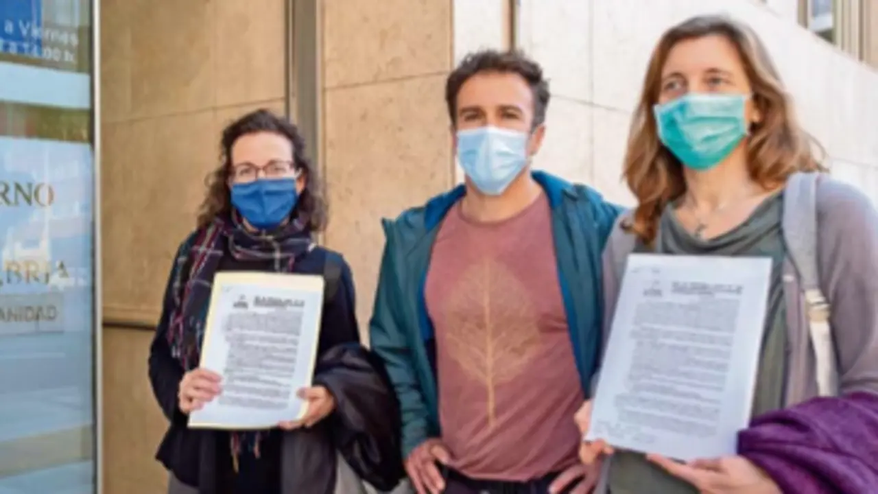 Integrantes de la plataforma registrando el manifiesto en la Consejer&iacute;a de Sanidad. / ALERTA