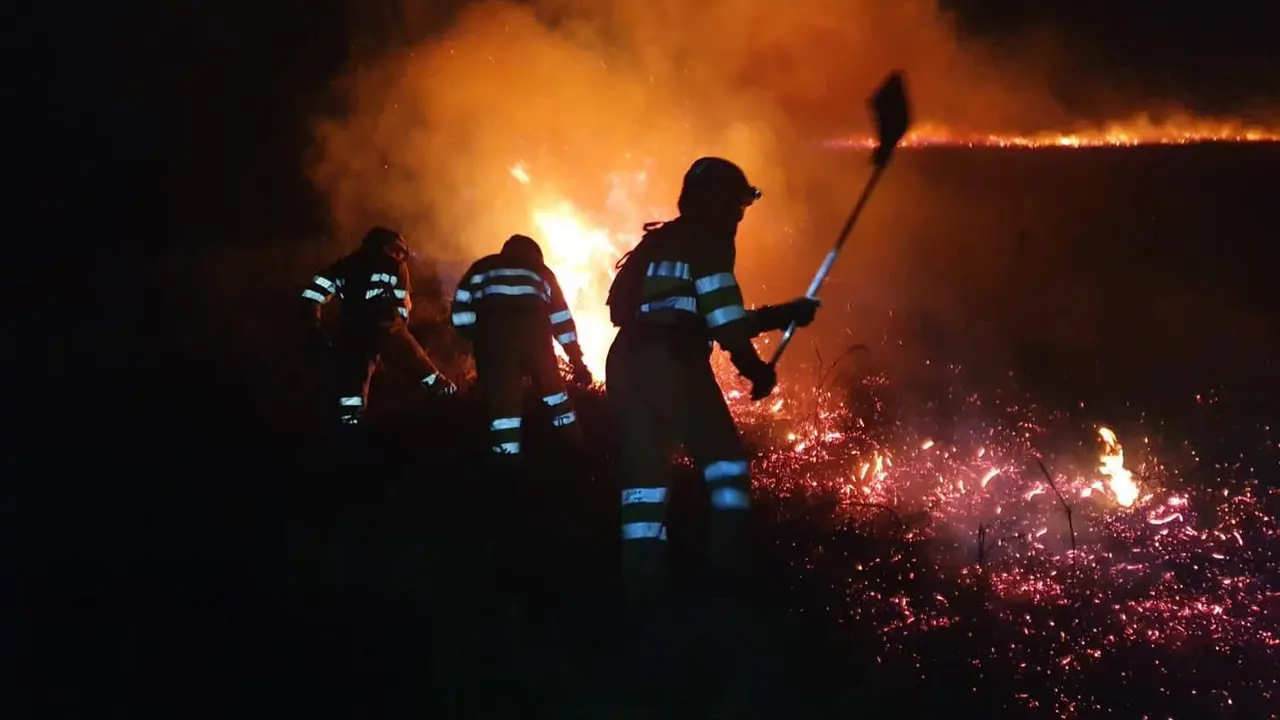 Incendios forestales