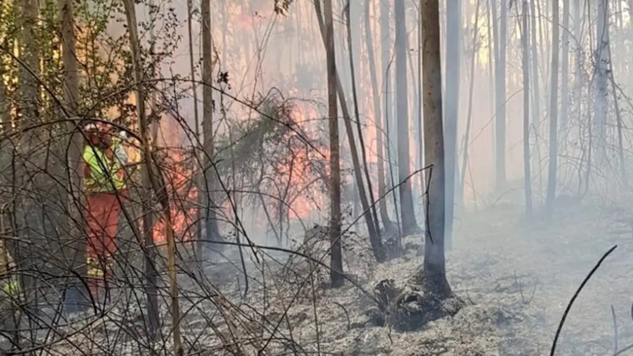 Los compa&ntilde;eros de 
BRIF de Rueente contin&uacute;an trabajando junto a #BomberosForestales del Servicio de Montes de 
@cantabriaes en el incendio de Herrerias que afecta a bosque de eucalipto./ @BRIF_Ruente